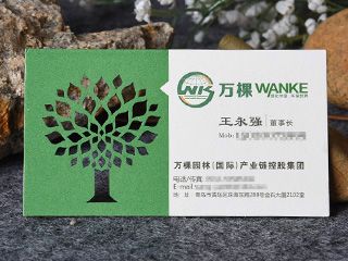 高檔名片制作（環保集團）